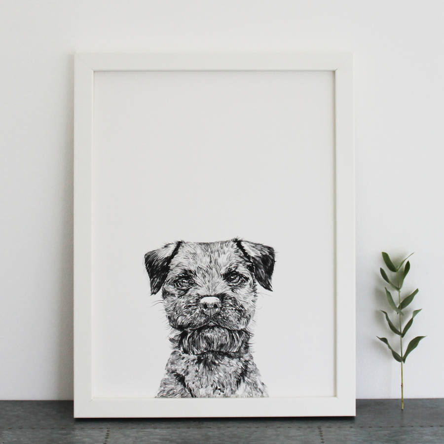 border terrier print by ros shiers | notonthehighstreet.com