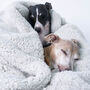 Sherpa Fleece Dog Blanket, thumbnail 8 of 10