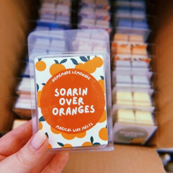 Disney Inspired Wax Melts | Choose Your Scent, 7 of 8