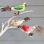 Set Of Christmas Clip On Birds, thumbnail 1 of 3
