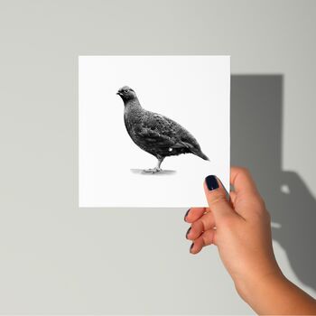 Red Grouse Wildlife Greeting Card, 2 of 6