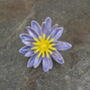 Water Lily Blue Flower Brooch, thumbnail 1 of 3