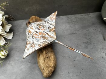 Multi Coloured Wooden Stingray On Teak Root Stand Gift, 5 of 12