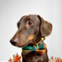 Squirrel Chaser Handmade Dog Bow Tie Autumn, thumbnail 5 of 6