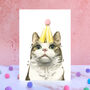 Tabby And White Cat Pompom Birthday Card, thumbnail 1 of 1
