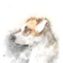 Personalised Watercolour Pet Portrait, thumbnail 2 of 11