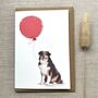 Personalised Australian Shepherd Dog Birthday Card, thumbnail 1 of 6