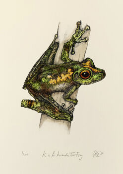 K Is For Kuranda Tree Frog Illustration Print, 2 of 6