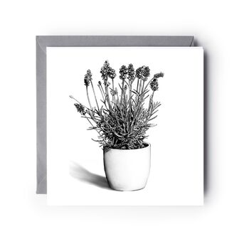 Hand Drawn Lavender Garden Flower Greeting Card, 2 of 6