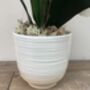 Cream Artificial Silk Orchid Luxury Flower Arrangement Mothers Day Gift, thumbnail 2 of 6