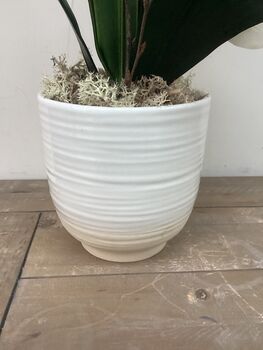 Cream Artificial Silk Orchid Luxury Flower Arrangement Mothers Day Gift, 2 of 6