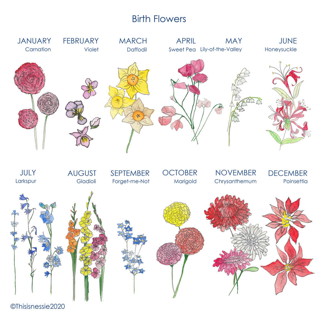 Personalised Birthday Birth Flowers Print By This Is Nessie Notonthehighstreet Com
