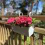 Pair Of Ice White Hanging Balcony Planters, thumbnail 1 of 7