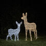 Swinsty Doe And Fawn Dual LED Battery Outdoor Reindeer, thumbnail 3 of 4