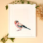 Inky Jay Bird Illustration Print, thumbnail 5 of 11