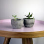 Set Of Two Mini Concrete Planters, thumbnail 2 of 3
