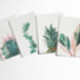 Set Of Four Nature Postcards. Still Life, thumbnail 2 of 8