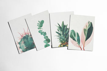 Set Of Four Nature Postcards. Still Life, 2 of 8