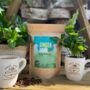 Fresh Coffee Beans And Coffee Plant Gift Set, thumbnail 1 of 12