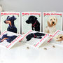 Personalised 'Rosie' Dog Christmas Card, thumbnail 6 of 7