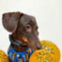 Wild Spirit Aqua Blue Leopard Dog Harness, thumbnail 5 of 6