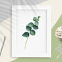Eucalyptus Branch Green Watercolour Botanical Print, thumbnail 2 of 7