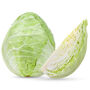 Vegetable Cabbage 'Durham Early' Plug Pack, thumbnail 1 of 5