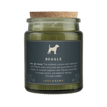 'Beagle' Definition Large Green Candle • Dog Enthusiast • Just Paws • Gift Box, 3 of 4