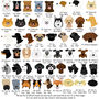 Personalised Dog Tag And Collar Gift Set, thumbnail 11 of 12