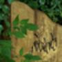 Engraved Live Edge Oak Wooden Sign | Statement Entrance Sign | Wide Slab Natural Chunky Shop Signage |Campsite Estate Signs, thumbnail 9 of 12