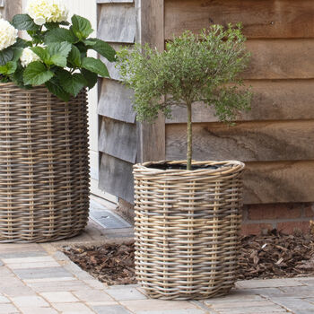 Round Rattan Planter With Curved Base, 3 of 4