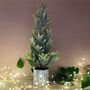 Mini Christmas Tree In Metal Pot, thumbnail 1 of 4
