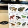 A Z Of Frogs Tea Towel, thumbnail 2 of 5