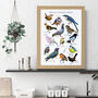 Personalised British Garden Birds Artwork, thumbnail 4 of 7