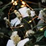 Copper Wire Fairy Lights, thumbnail 1 of 9
