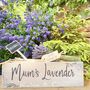 Personalised Lavender Garden Window Box, thumbnail 8 of 8