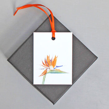 Gift Tags With Bird Of Paradise Illustration, 4 of 4