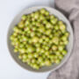Gooseberry Plants, 'Leveller', thumbnail 2 of 7