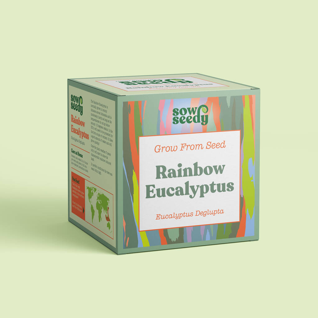 Rainbow Eucalyptus Grow Kit, 1 of 4