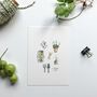 Garden Things Hand Illustrated Postcard Set, thumbnail 4 of 6