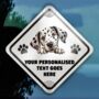 Personalised Dog On Board Car Sign, thumbnail 12 of 12