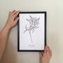 Hand Illustrated Rose Flower Print, thumbnail 5 of 8