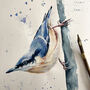 Inky Nuthatch Blank Greeting Card, thumbnail 3 of 4