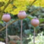 Three Rusty Metal Poppy Seedhead Garden Ornament Stakes, thumbnail 2 of 4