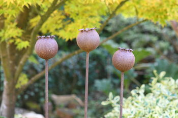 Three Rusty Metal Poppy Seedhead Garden Ornament Stakes, 2 of 4