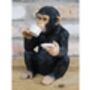 Tea Drinking Monkey Figurine – Chimpanzee Ornament, thumbnail 2 of 3
