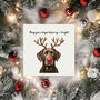Furry And Bright Dog Christmas Card Pack. Mixed Pack Or One Design, thumbnail 3 of 5