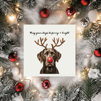 Furry And Bright Dog Christmas Card Pack. Mixed Pack Or One Design, 3 of 5