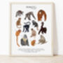 Primates Print, thumbnail 3 of 3