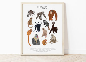 Primates Print, 3 of 3